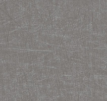 Линолеум Forbo Eternal Material 13712 brushed chrome фото 1 | FLOORDEALER